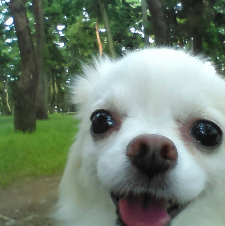 9c9436e9 c06a 4e20 b695 53932ecde3c6