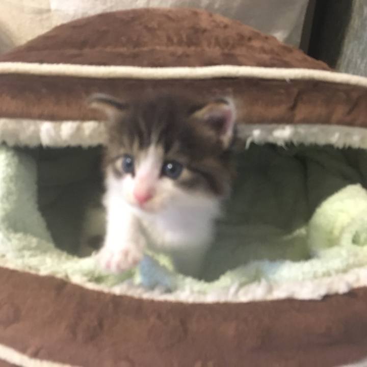 9c94c8ba f0d1 4c62 9cee e33e6e96a7c3