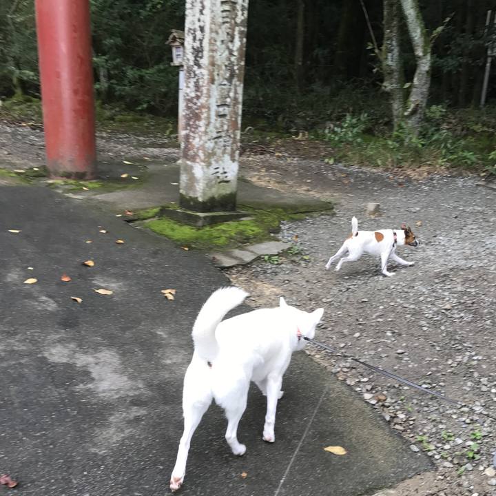 9c955297 aa09 492e b136 bb281552a269