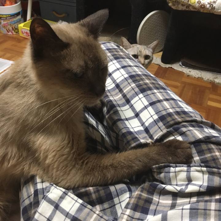 9c962829 e761 4f14 9aa2 3a2d6c999fbe