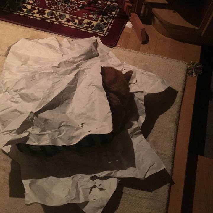 9c9648de d582 4e41 9f05 bf8a87b09dd0