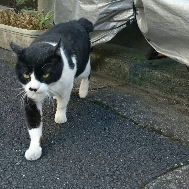 9c9655e6 3ec6 4975 b137 e93de6ae08d2