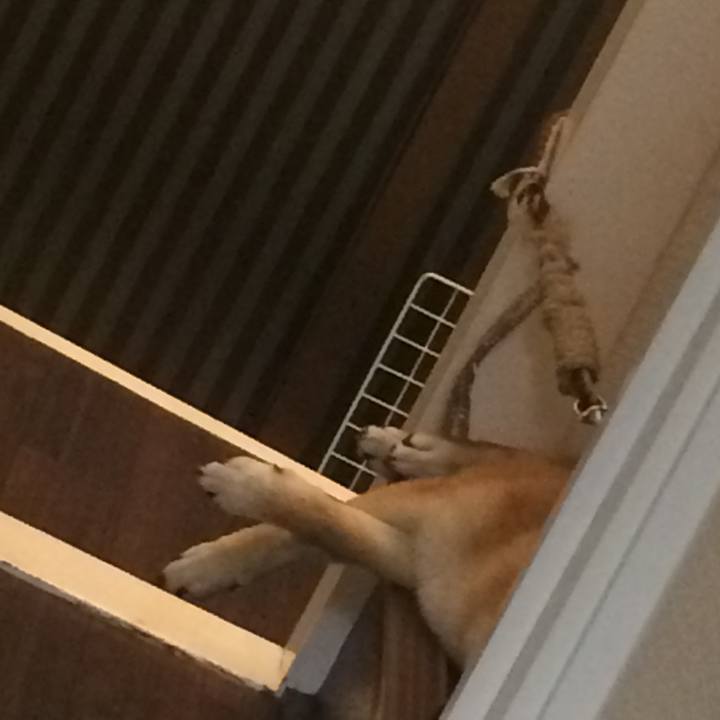 9c96a950 1e90 49ab a4c4 64070228cec5