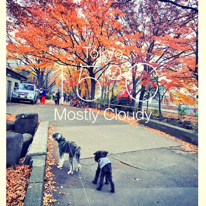 9c971585 e9bf 44bb 8b34 7f772e5f404a