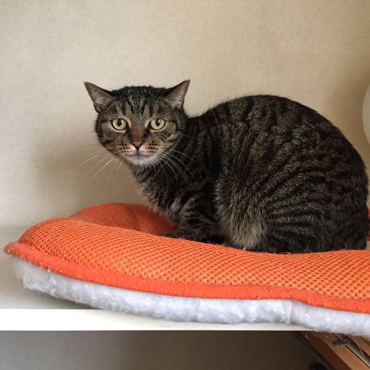 9c9824fa 1c77 4f54 854c aed477bf58ac