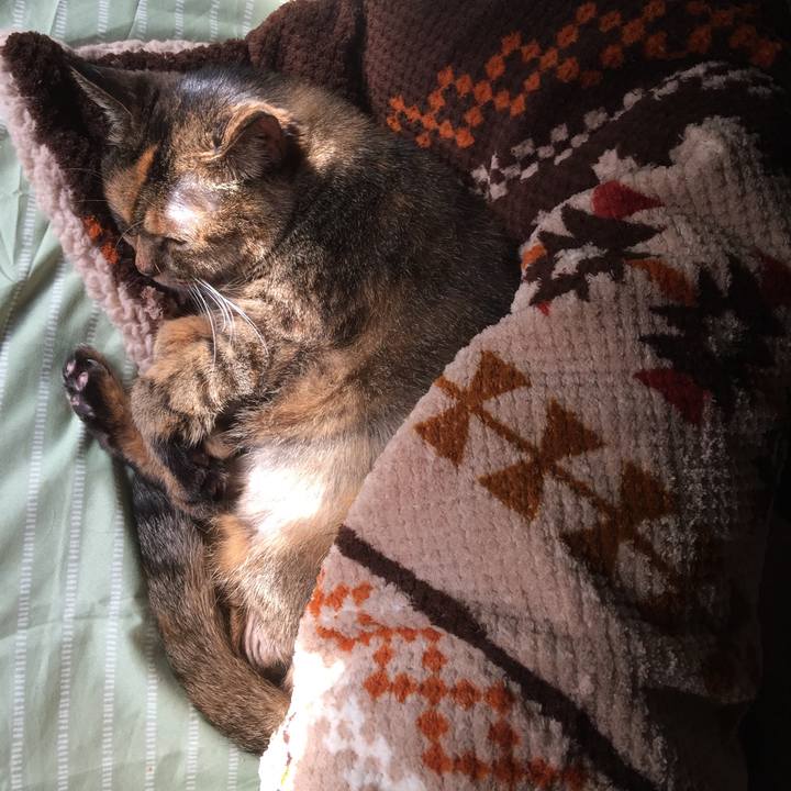 9c98b91a fe15 4f79 974d 30f7df3c4ba2