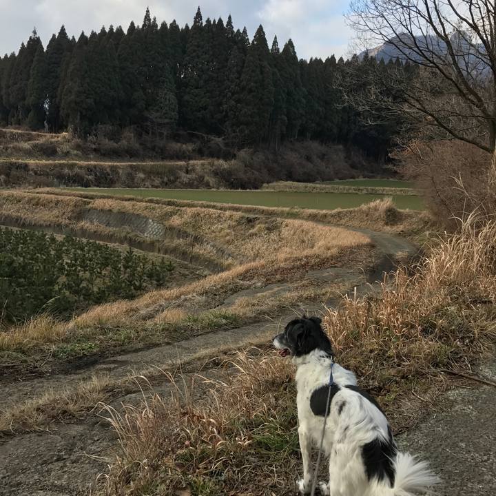 9c98c06a e549 4145 98da 1f4443b14b61