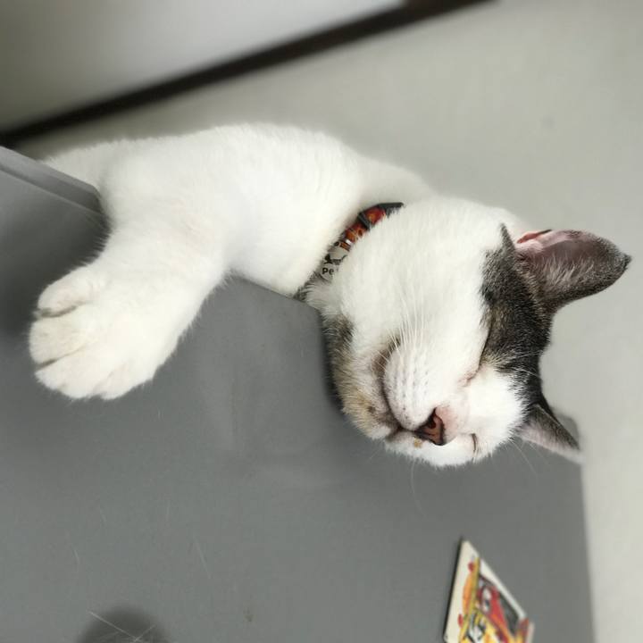 9c98eb52 24cc 4349 b37a 76021fccf03d