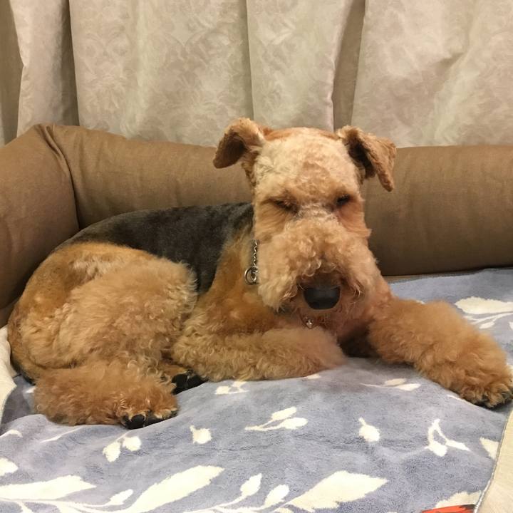 9c9900be 3fb5 43aa 9e2f 5e2766b36c8b