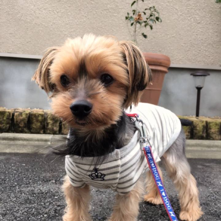 9c997ba6 a78d 4143 b3a0 5144bc8c6908