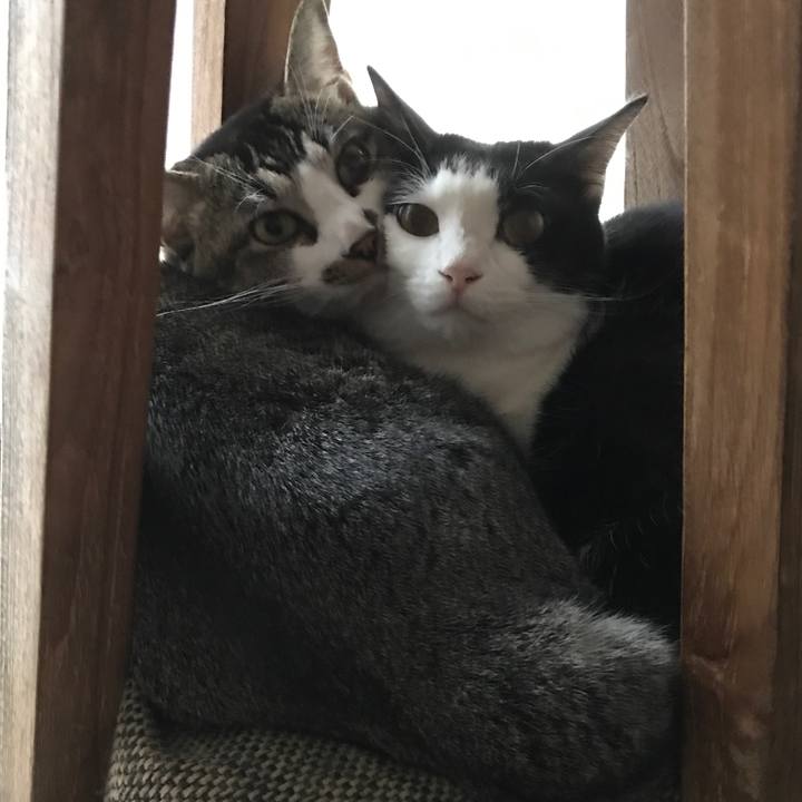 9c9a479b 50ce 475f b99c 76f39e8dd621