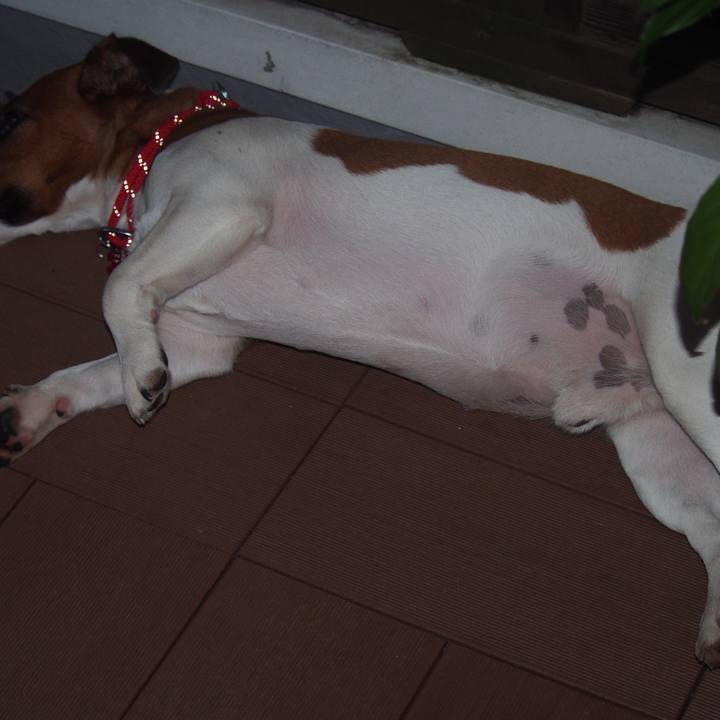 9c9b35fc f63b 4cf6 a228 09cc5c067722