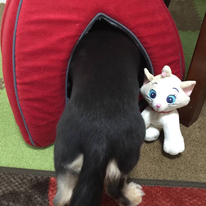 9c9c8674 8954 4625 9c97 a0accaacf5d3