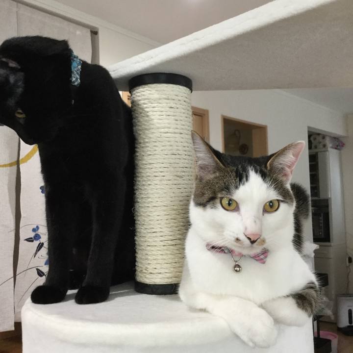 9c9c8ba6 c1fe 4b37 842a 6d1a07749b5d