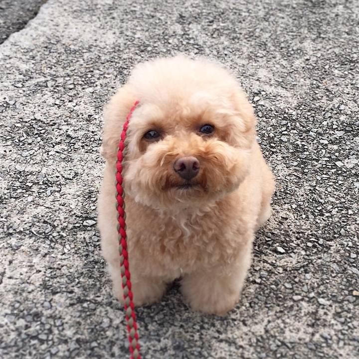 9c9d5a6d 3d37 4c8a a229 5573e7303c52