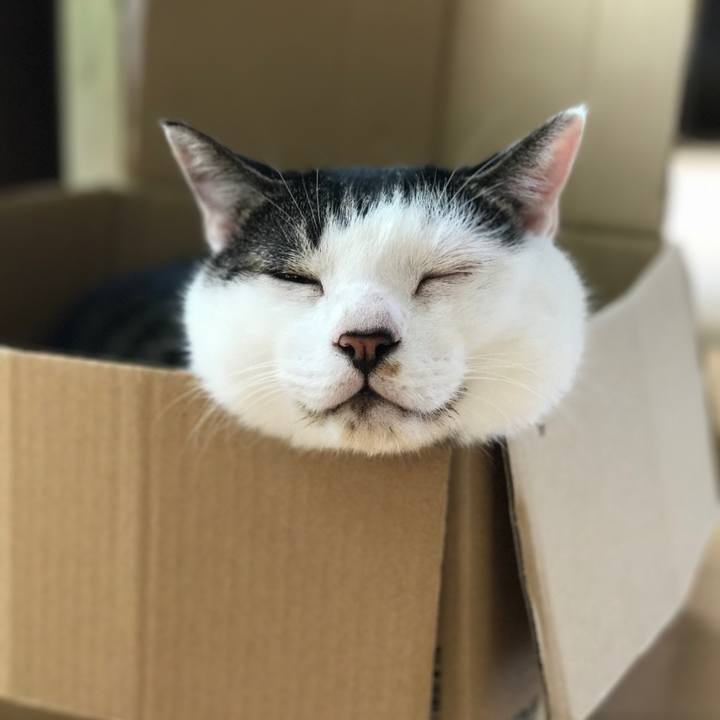 9c9dc7b1 1f7a 444f 9935 ff63f856cf60