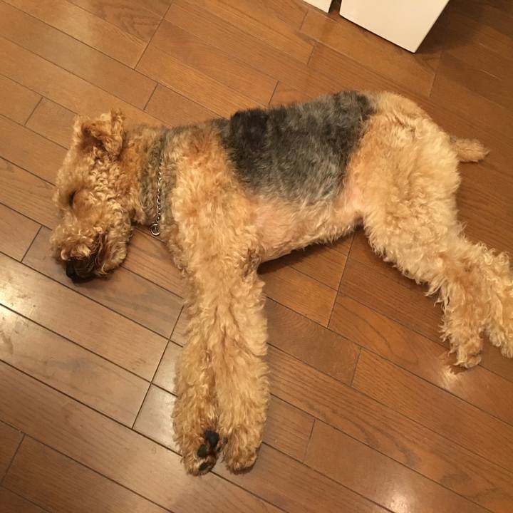 9c9dc85f 71f1 40e6 99f6 afe7730c28e3