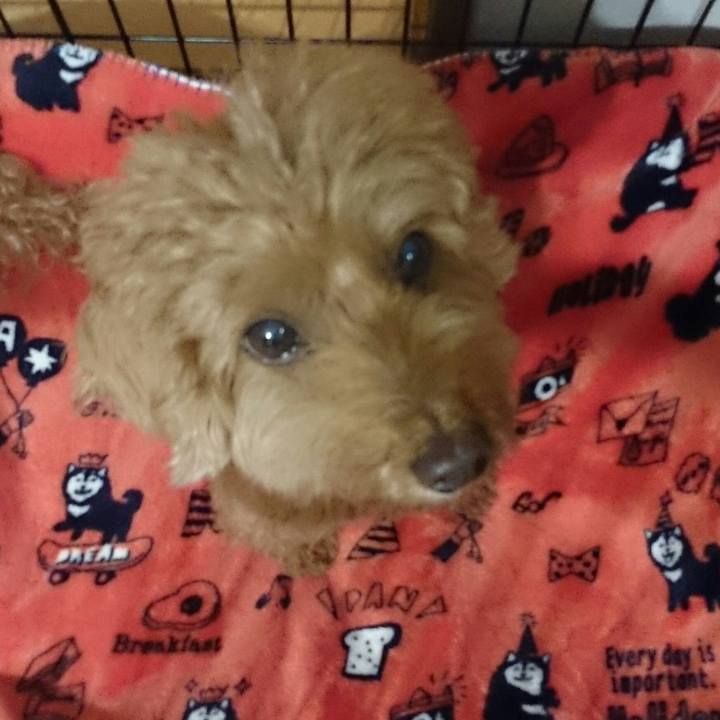 9c9ebeaf 6538 4101 9b9e 13c0e429a5e0