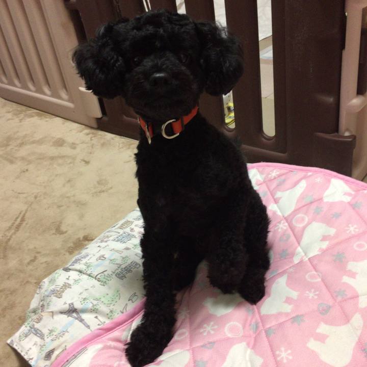 9c9ef1f3 edb2 4cd2 b378 67921b96dcde