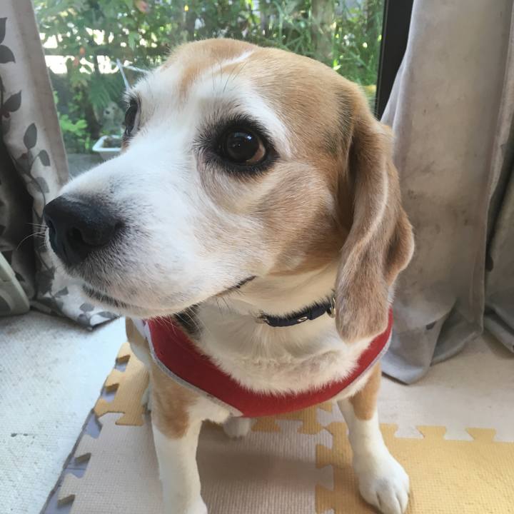 9c9f37ff 3f90 49bf 8ce9 31eee7645688