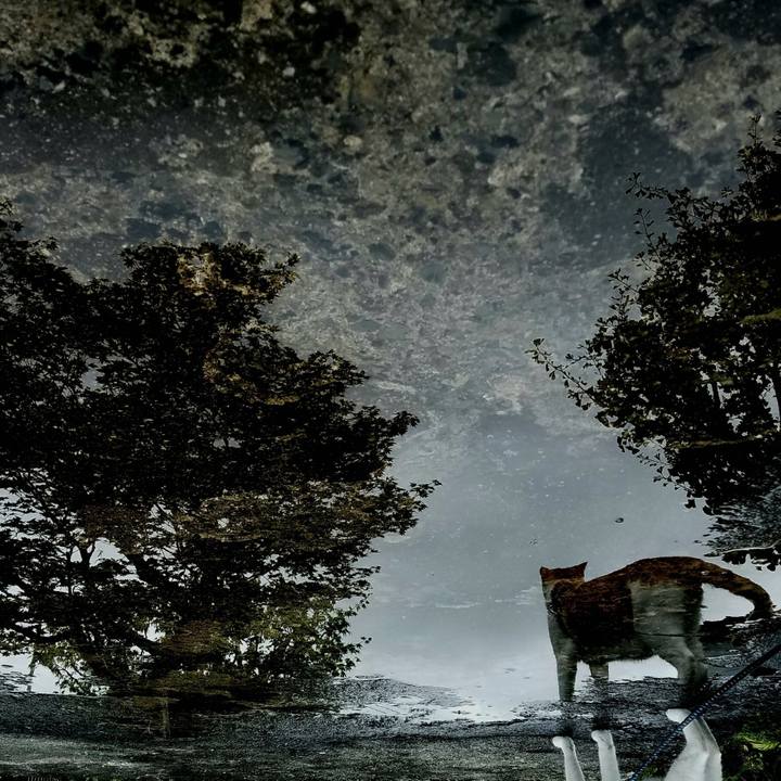 9c9fc84c 6aa5 4e4d 806a 40871c00208b