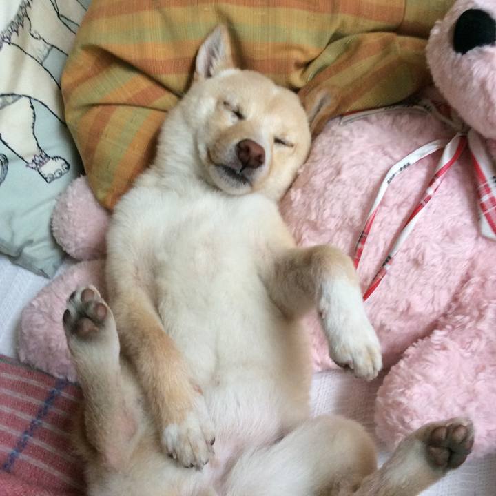 9c9fe60c 4cb4 4343 be63 079a4a70d78a