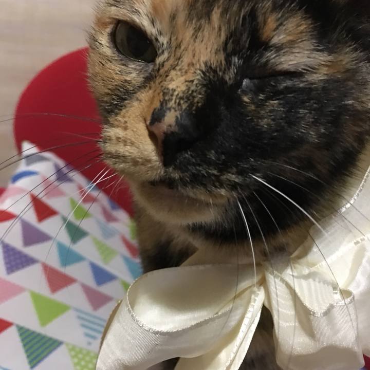 9c9fefaf e194 4a07 9b4e a5aaabe00c53