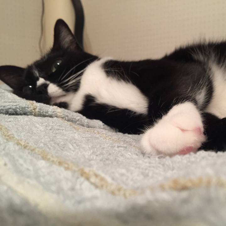 9ca01d4b a4ea 4497 9de7 77425d6b397e