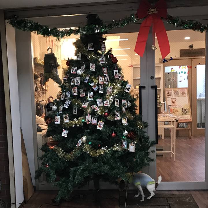 9ca0efe6 e7ef 420b 8c5e bd2c731e093e