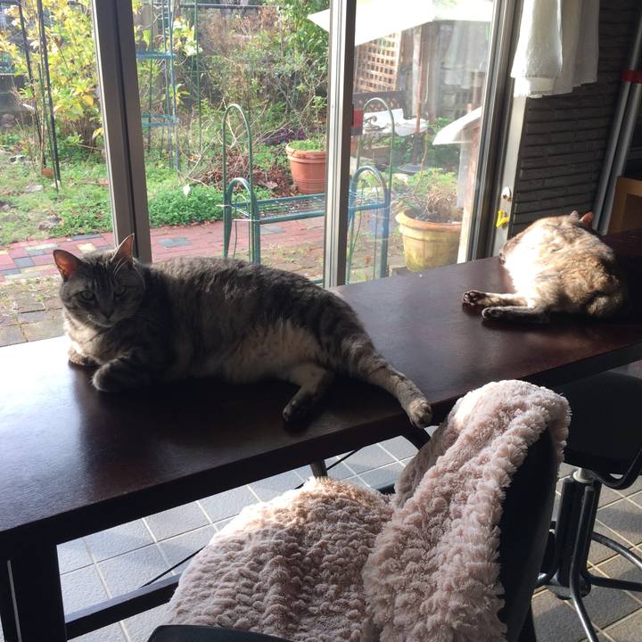 9ca19265 2854 4421 98eb e7a9ea5c3ac8