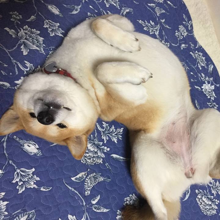 9ca2e210 7559 4e79 979a 314d995cb313