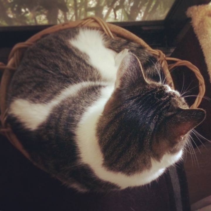 9ca40a1e 7036 4624 89d5 f6f148fa6429