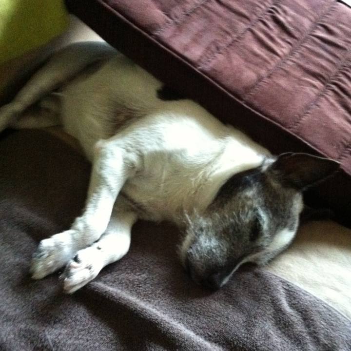 9ca465af 8968 437e a059 0038ae811cd5