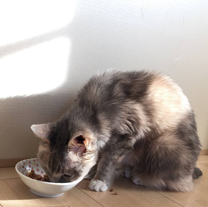 9ca52056 78a4 47c7 b90a 63b413804173