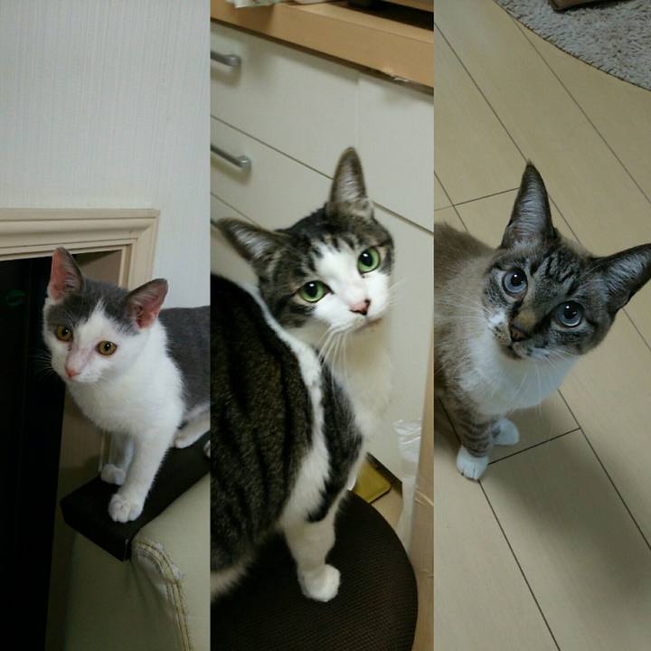 9ca5b804 4c9b 4220 8fb5 46e5a97a4d73