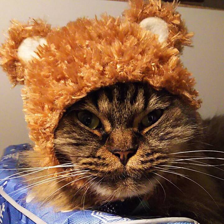 9ca5bef2 597f 4bd6 9c20 78586d01b7ac