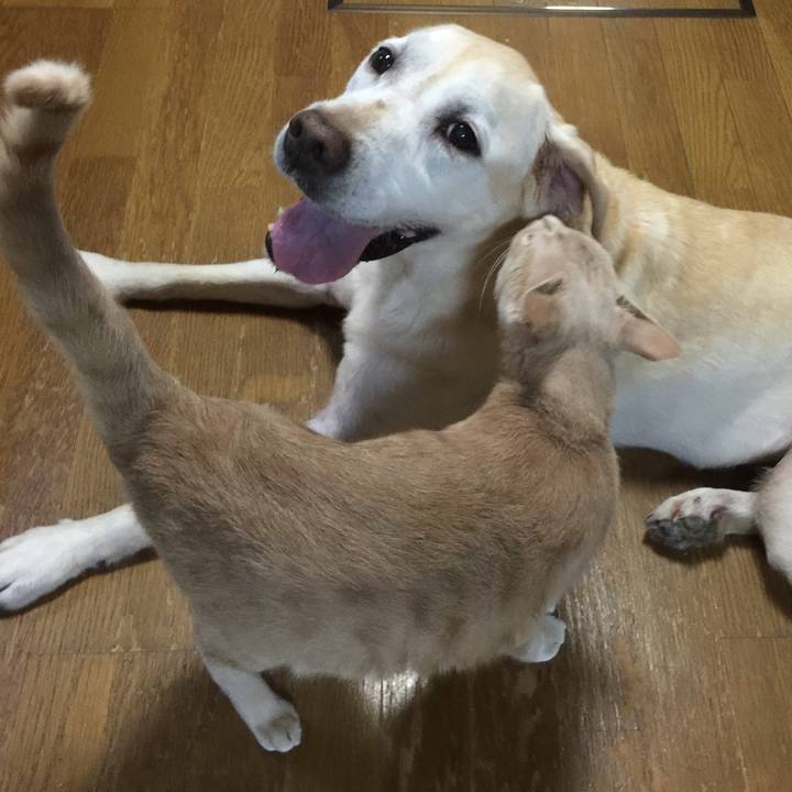 9ca5c26a 1361 49b1 a656 3111177a57b3