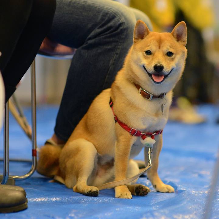 9ca5ce8f 3aac 4697 92ef 7166cb5412b1