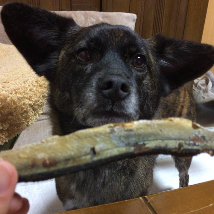 9ca5f968 d35f 4e47 b058 36213bf12495