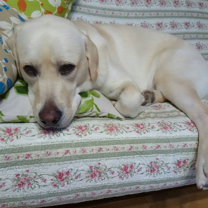 9ca6260f ff96 479a 834c 6a98fff5310d