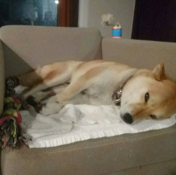 9ca6e2cc b904 44bb 926e 5ed24d285fc5