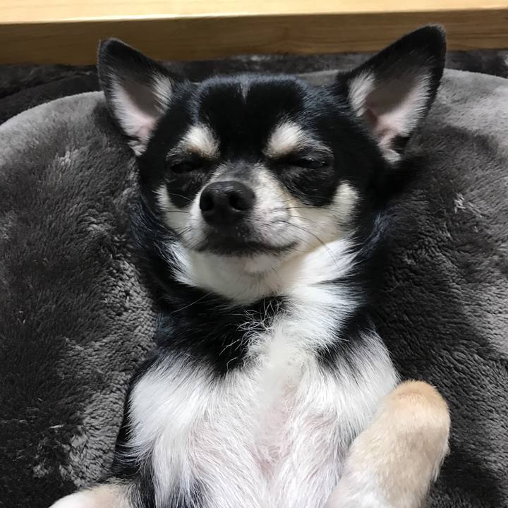 9ca82a76 2108 4f67 a5f1 c5015f68bd54