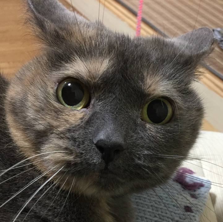 9ca91381 d99c 48f0 8350 3ac1046a26df