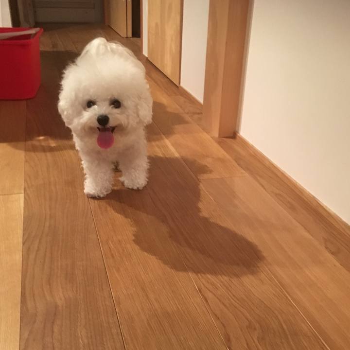 9ca97a88 58fc 455f b131 1ec43795118a