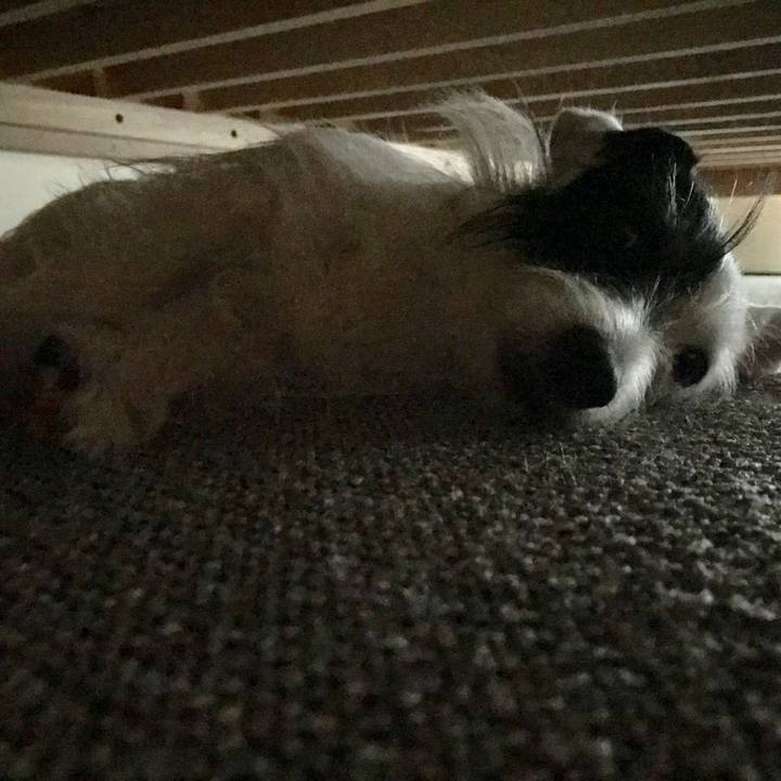 9ca9ac9a 0092 43ae 874d 2c9ca129163c