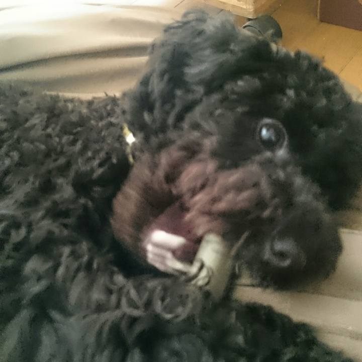 9ca9e43f 6c1d 447c 97c6 c980c49bce86