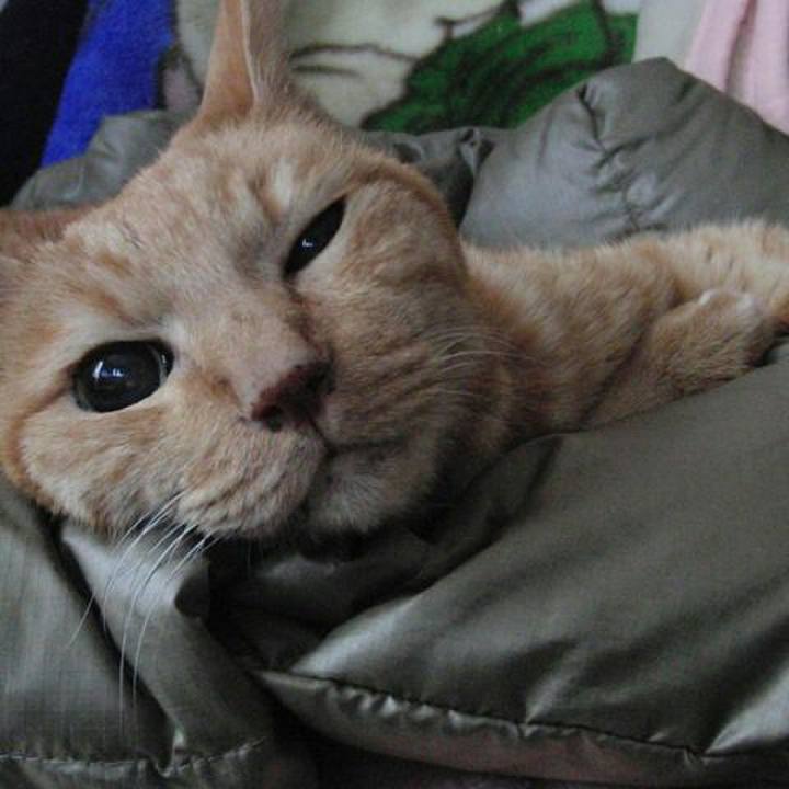 9caa29c2 67e2 4882 83e5 040703556051