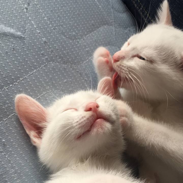 9cab868e 4548 46eb 96c8 b6d01292e3d4