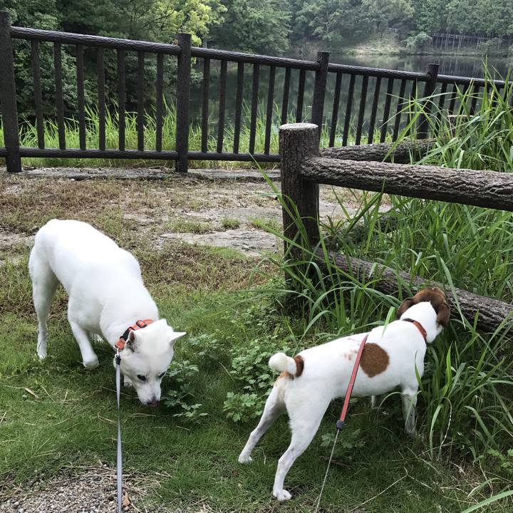 9caba78f a5c2 4647 8fce 1b7c301de92a