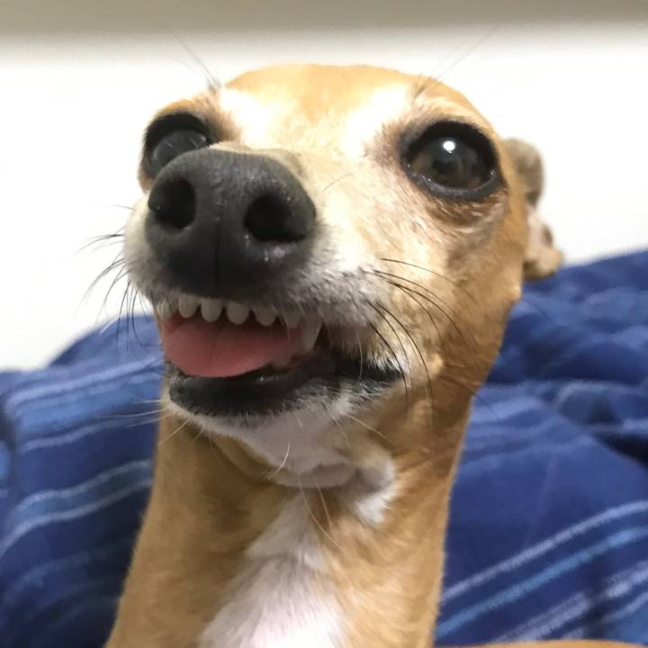 9cacb28e df5f 461e 9b2b 35a73003a7ea